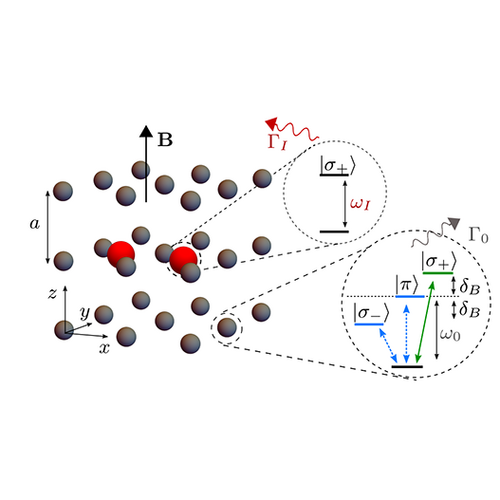 atomic array setup