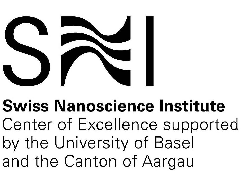 Logo of the Swiss Nanoscience Institute