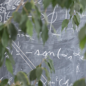 Blackboard with formulae, viewed through a tree